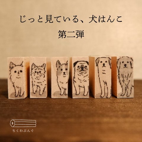 じっと見ている、犬はんこ第二弾