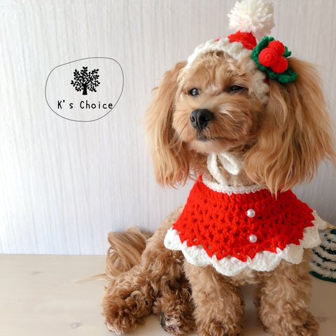 ペット用♡クリスマス　サンタケープ